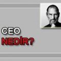 ceo ne demek