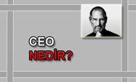 ceo ne demek