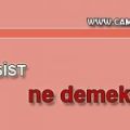 narsist ne demek